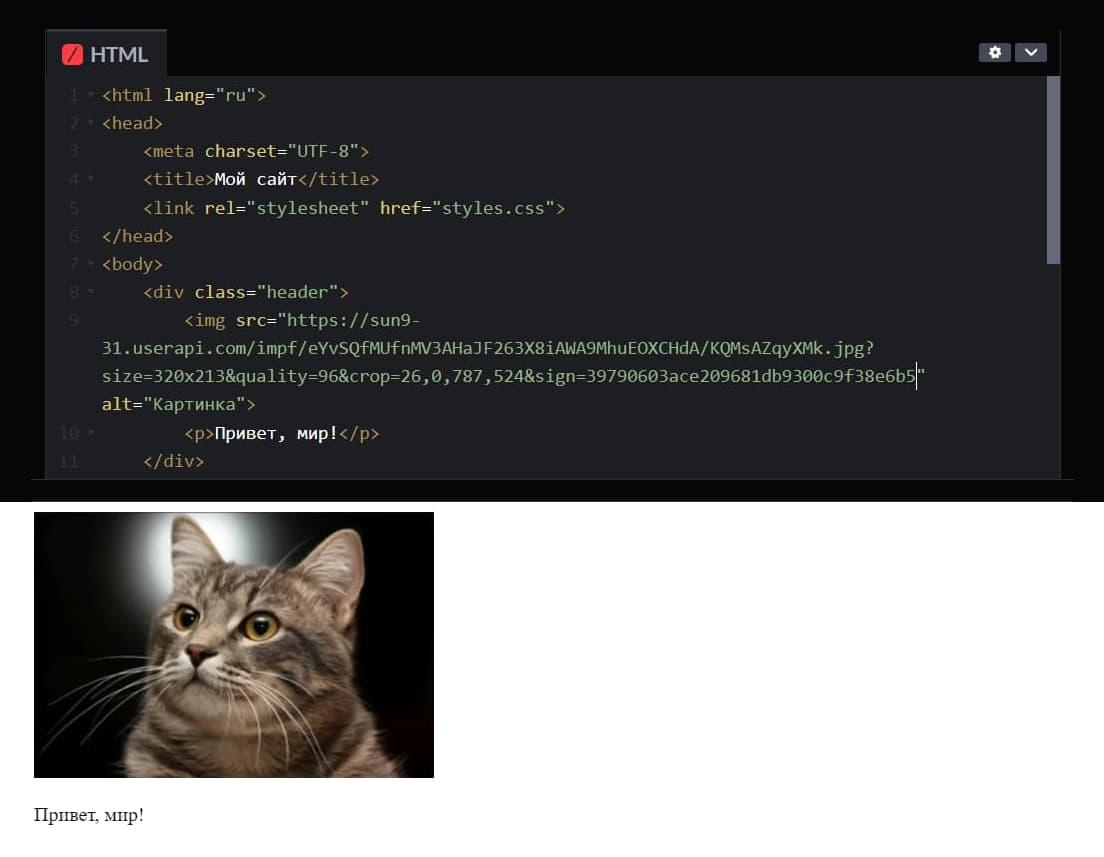 Скриншот с кодом HTML и интерфейсом сайта рядом — как визуальное отражение работы фронтенда.
