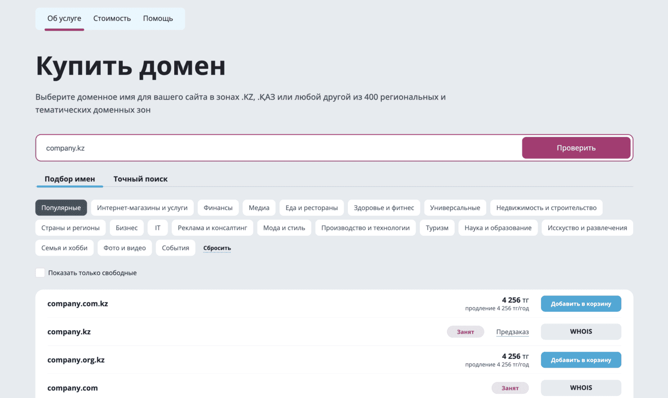 Панель управления хостингом с настройкой домена ps.kz.
